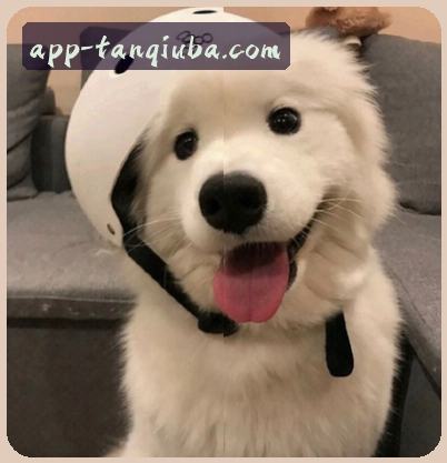 陈浩